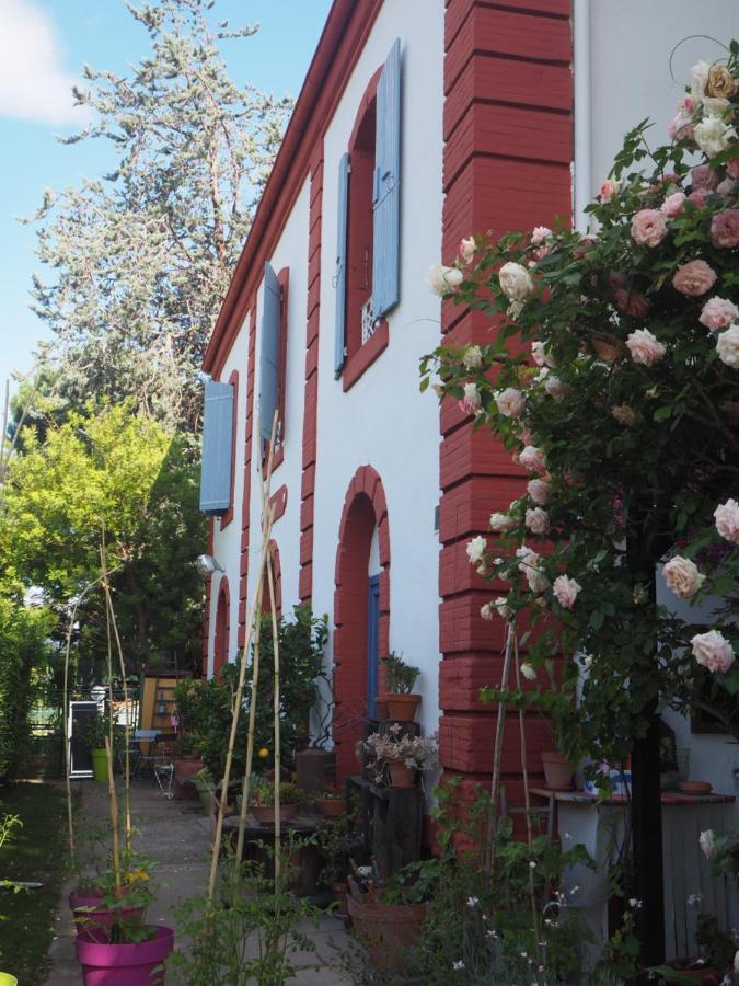 La Gare De Millas Chambres D'Hotes מראה חיצוני תמונה